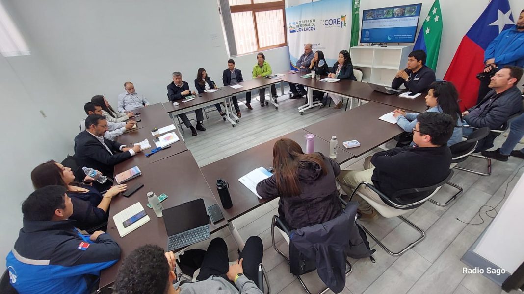 WhatsApp Image 2024-11-22 at 14.03.48