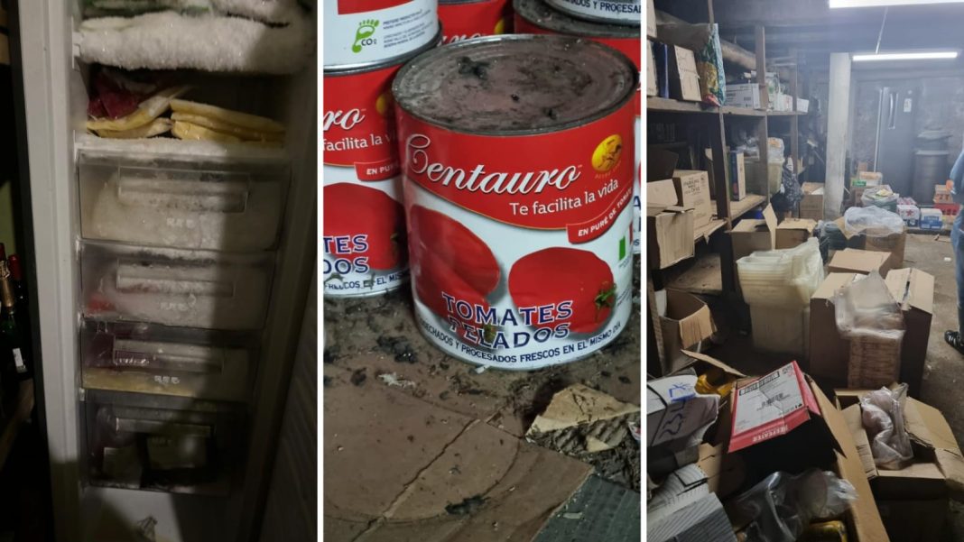 WhatsApp Image 2024-11-23 at 10.32.51