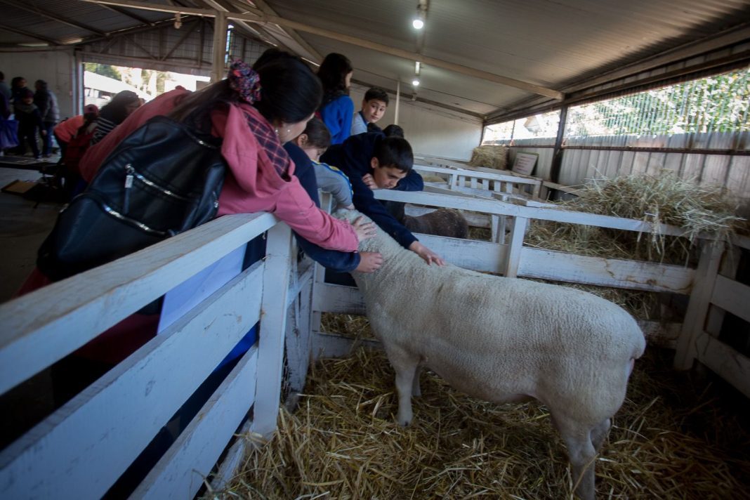 WhatsApp Image 2024-11-28 at 17.29.54