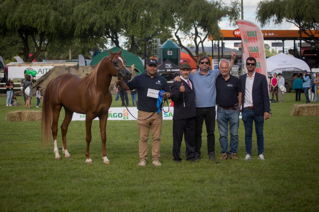 WhatsApp Image 2024-11-30 at 21.31.48