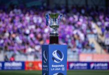 La jugada de Mayne-Nicholls: agrupó a todos los equipos de Segunda División para protestar ante la ANFP