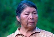 Diputados socialistas exigen agilizar investigación por desaparición de dirigenta mapuche en la Región de Los Ríos