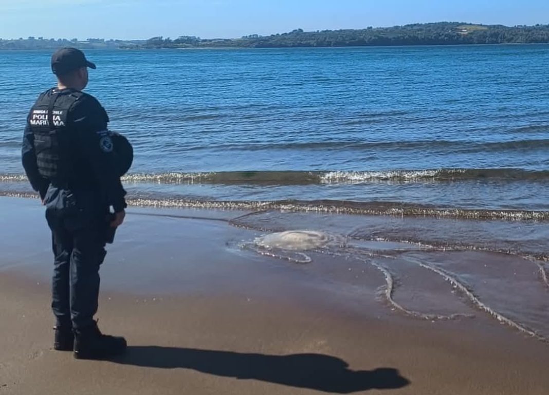 470817786_1367204488021388_4070100971232565203_n