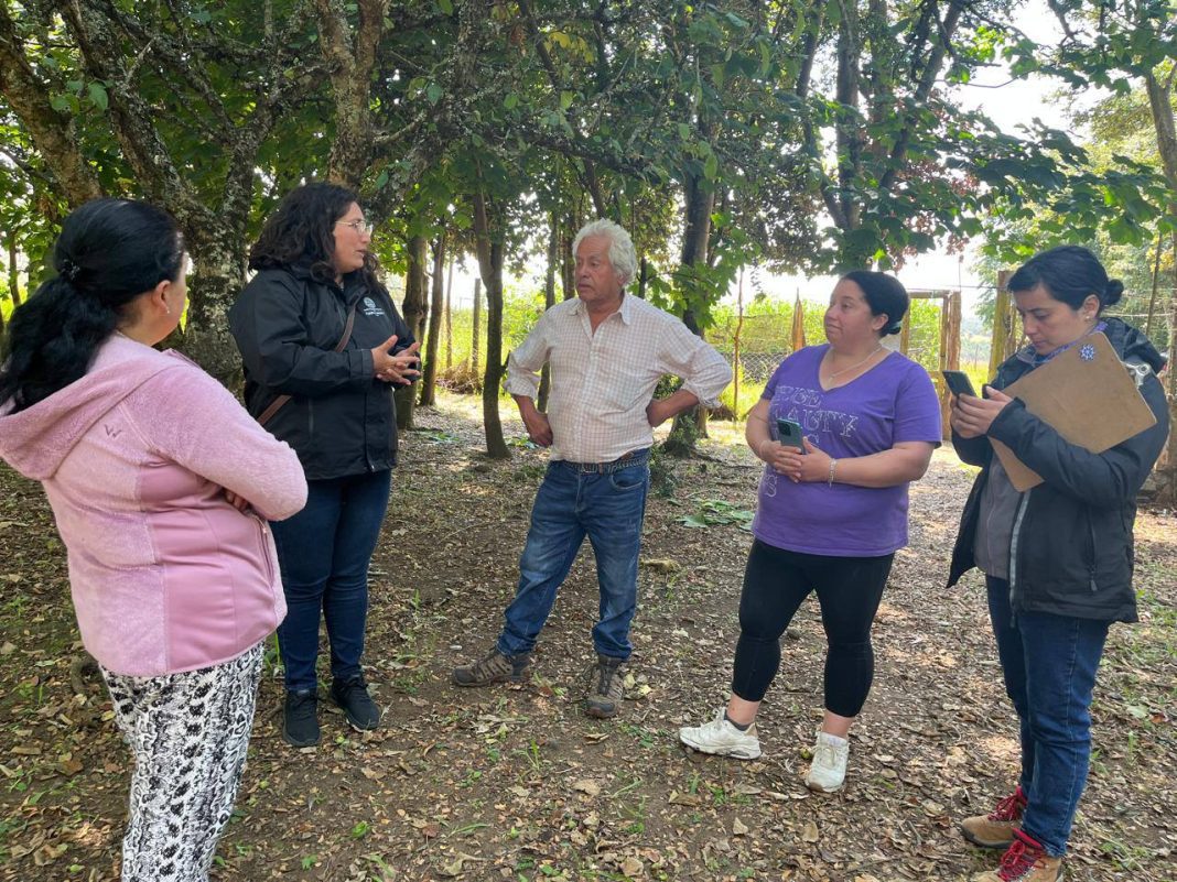 471634814_1374064487335388_4134171695533677725_n