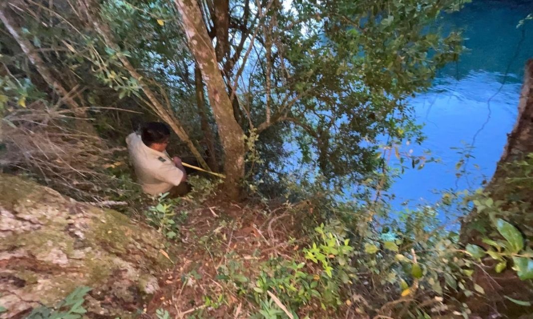 6772ed631cd93_1200x719