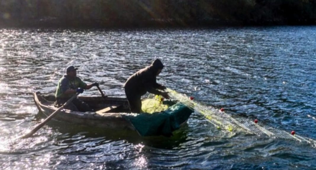 Captura de pantalla 2024-12-30 163132