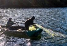 Tribunal Constitucional declaró “improcedentes” ciertos requerimientos por suspensión de ley lafkenche