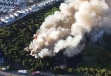 Gobierno presentará querella por incendio forestal que provocó la evacuación de más de cien personas en Castro