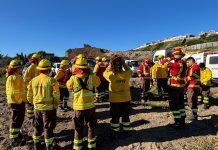 Incendio en Castro: autoridades confirmaron que se encuentra contenido y sin peligro hacia viviendas