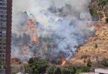 Balance por incendio forestales: Hay 12 siniestros que se mantienen en combate