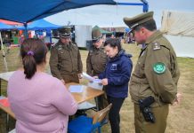 Once detenidos fue el saldo inicial del nuevo plan de fiscalización preventivo en Puerto Montt para fortalecer la seguridad pública