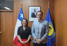 Las urgencias en seguridad pública en Puerto Montt fueron tratadas por autoridades