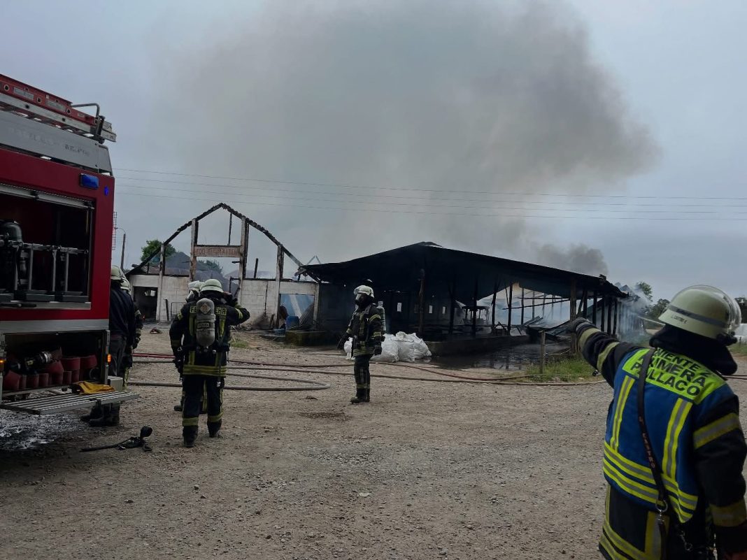 WhatsApp-Image-2024-12-15-at-13.43.02