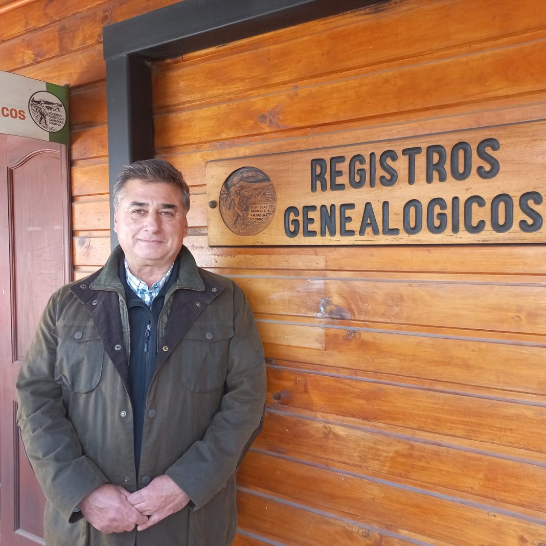 WhatsApp Image 2024-12-16 at 17.11.47