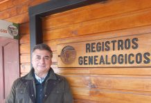 Registro Genealógico de SAGO realizó un análisis de la jura de Bovinos en SAGO FISUR