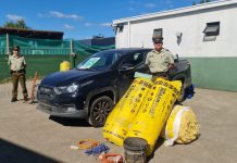 Carabineros detuvo a dos sujetos en Osorno tras robar una camioneta en San Pablo