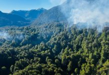 Argentina: hay dos incendios activos en el Parque Nacional Nahuel Huapi y apuntan a un curioso origen