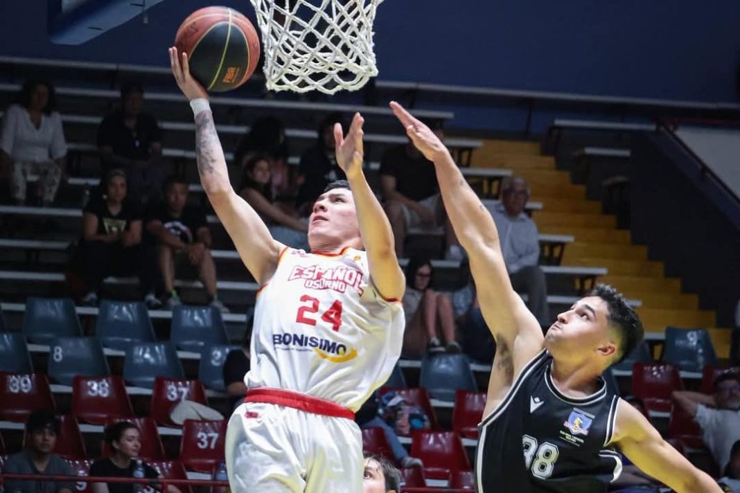 WhatsApp Image 2024-12-29 at 12.52.50