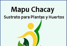 Innovador de Puerto Montt aprovecha propiedades del chacay en plantas y cultivos.