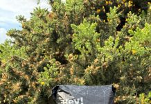 El chacay: De combustible peligroso a sustrato compostable barato y efectivo