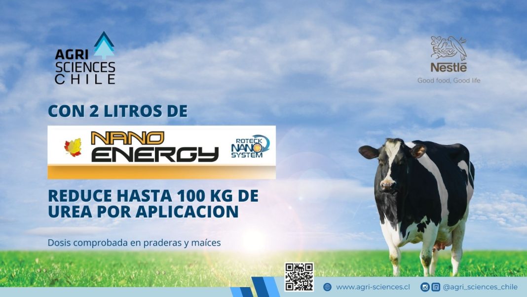 WhatsApp Image 2025-01-02 at 10.55.06