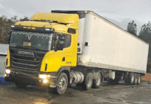 Gremios piden al gobierno más fiscalización en rutas tras asalto a camionero que llevaba 22 toneladas de salmón