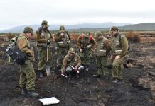 Carabineros de Osorno llama a la prevención y a la conciencia de la gente en esta temporada de incendios forestales
