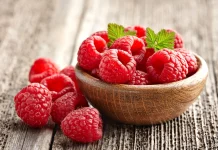 Comenzó cosecha de frambuesas en Provincia de Osorno