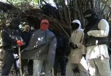 Terroristas de la WAM reconocen haber dado muerte a civiles en la Macrozona y acusan al gobierno de pasividad