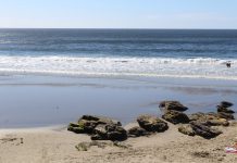 Hidratación y protección solar: parte de las recomendaciones del Minsal para cuidar su salud en verano