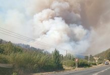 Confirman tres fallecidos durante combate de incendio forestal en Los Sauces