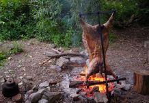 Ministerio de Agricultura anuncia proyecto de ley que prohíbe los asados en días de calor extremo