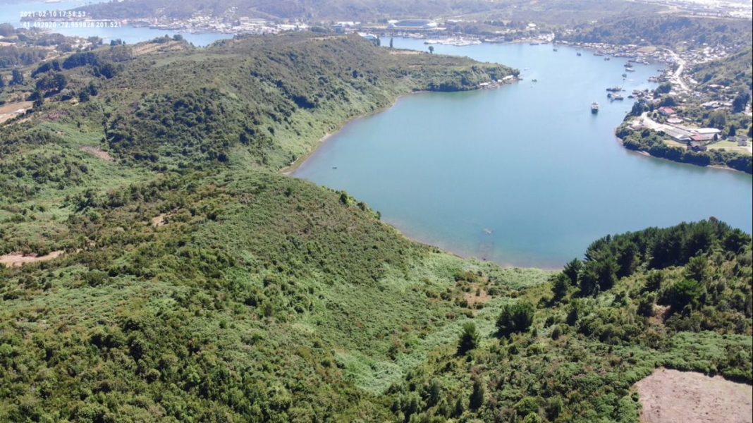 472785825_1028629419301189_8351969698746645409_n