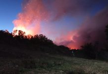 Bomberos y brigadas nocturnas de Conaf controlaron incendio forestal en Puerto Varas