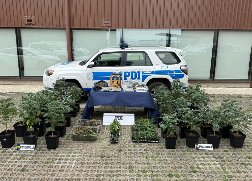 474676311_1022776169884561_7136161672474505942_n