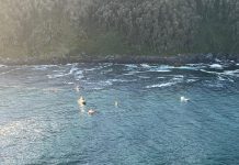 Fiscalía y la Armada evalúan reflotar embarcación hundida en Punta Tiburón para peritajes mecánicos