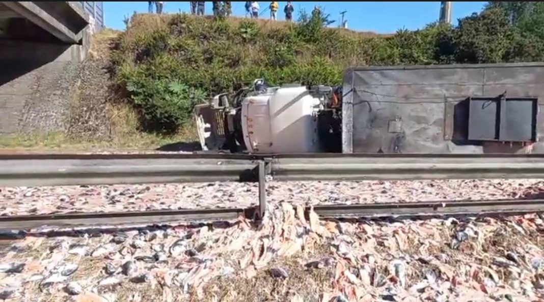 475464586_1399102441498259_6409393356908255664_n