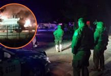 Ataque incendiario en el Biobío deja cuatro camiones y una camioneta destruidos