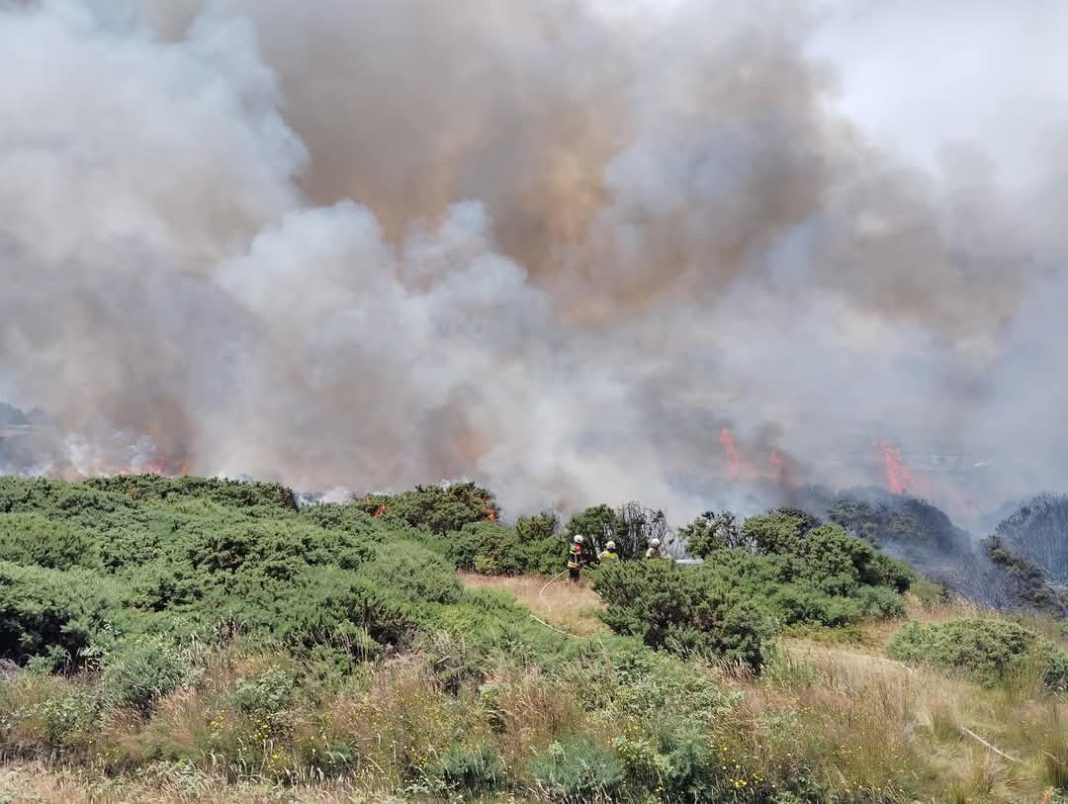 FB_IMG_1737309219592