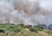 Decretan Alerta Amarilla por incendio forestal en Puerto Montt