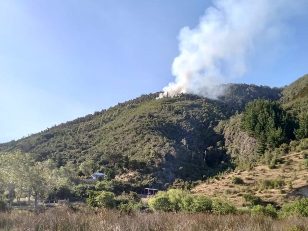 Screenshot_20250111_151536_WhatsApp