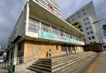 Departamento de Educación Municipal de Osorno lidera licencias médicas investigadas: no descartan desvinculaciones