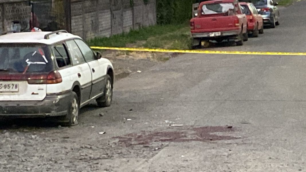 WhatsApp Image 2025-01-01 at 21.44.17