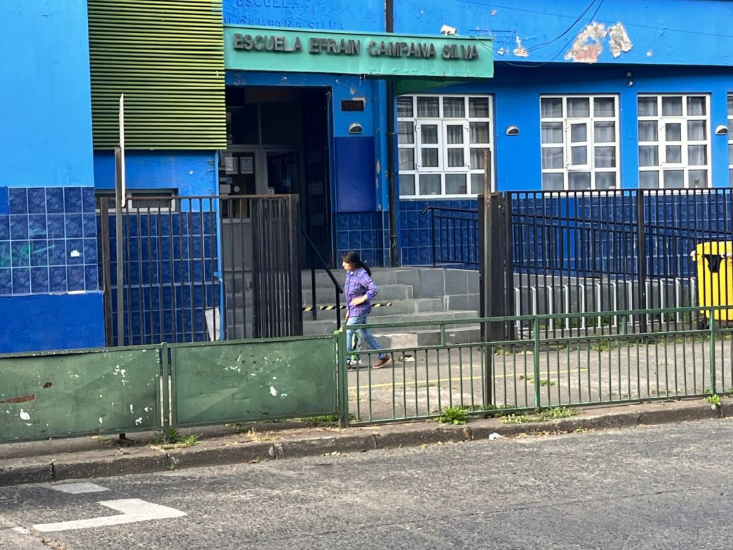 WhatsApp Image 2025-01-03 at 11.43.07