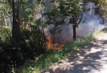 Combaten incendio forestal en San Juan de la Costa: avioneta de Conaf trabaja en el sector