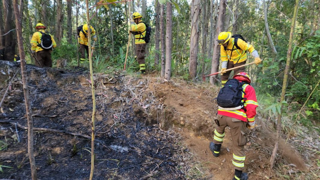 WhatsApp Image 2025-01-03 at 21.57.11