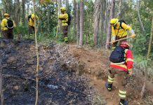 Logran extinguir dos incendios forestales en la región de Los Ríos