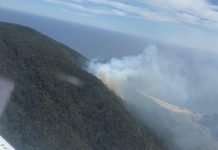 Conaf continúa trabajando en incendios forestales en San Juan de la Costa