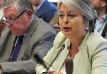 Gobierno solicita ampliar plazo y podría ingresar indicaciones a la reforma de pensiones mañana