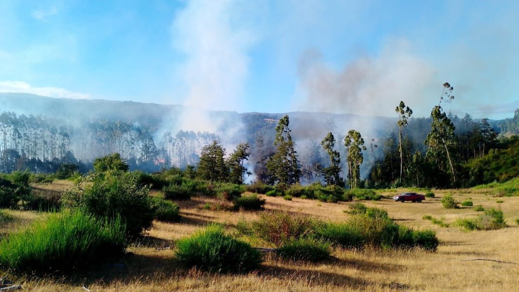 WhatsApp Image 2025-01-13 at 13.43.14